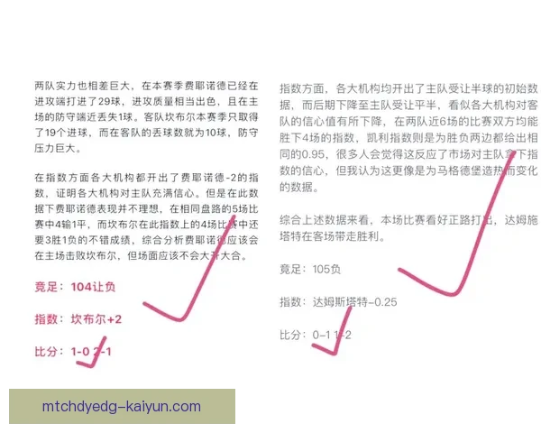 里昂整体实力 里昂整体实力