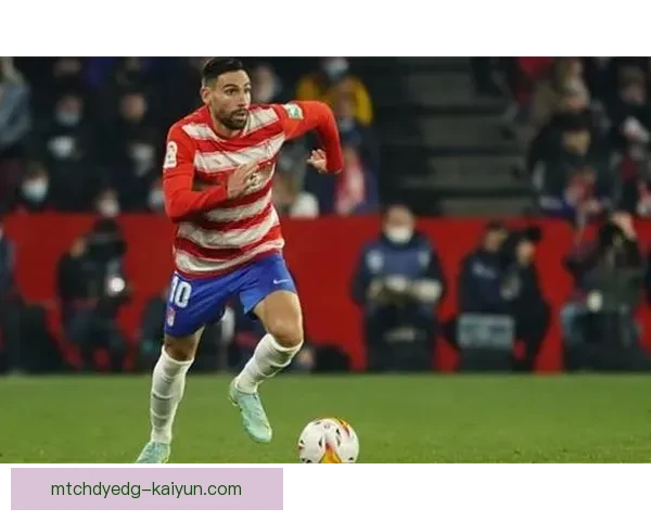 赫塔菲反击效率持续提升，状态回暖引发媒体关注